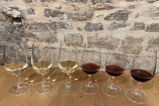 Cheese and Wine Pairing 1-Hour Session in Dijon - Practical details before you book