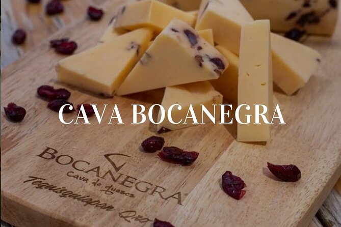 Cheese and Wine Route with 2 Towns, starting from Querétaro - Viña TX and the cheese board
