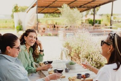 Cheese and Wine Route with 2 Towns, starting from Querétaro