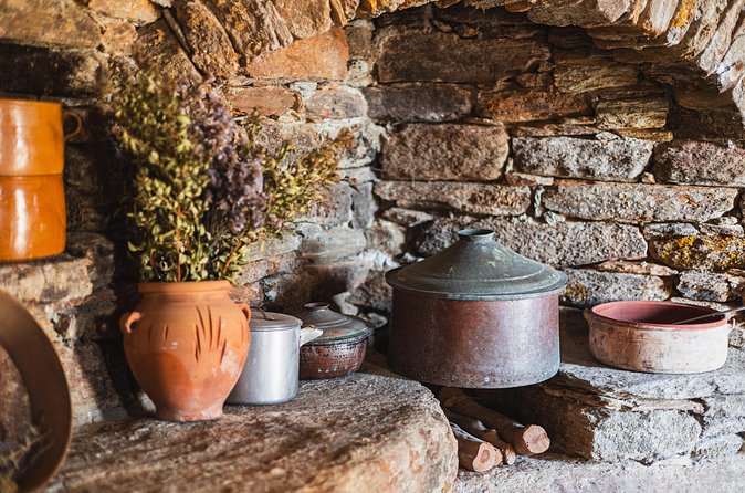 Cheese and Wine Tasting (Guided Tour INCLUDED) - Honey, fig marmalade, and farm olive oil