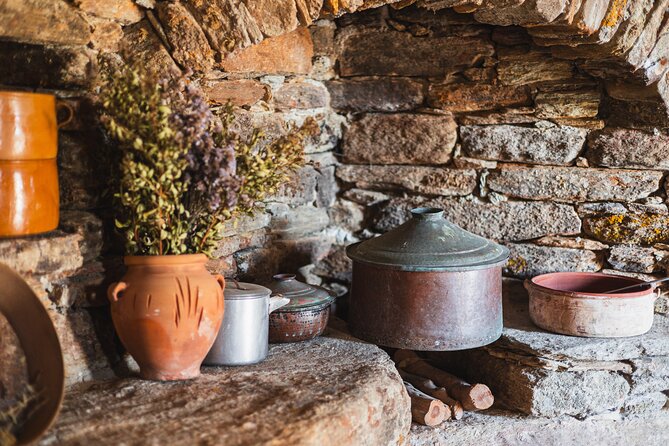 Cheese and Wine Tasting (Guided Tour INCLUDED) - A walk around the farm and views over nature
