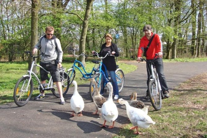 Cheese, Canals & Windmill Countryside E-Bike Tour Amsterdam - Cheese, clogs, and a small Dutch snack