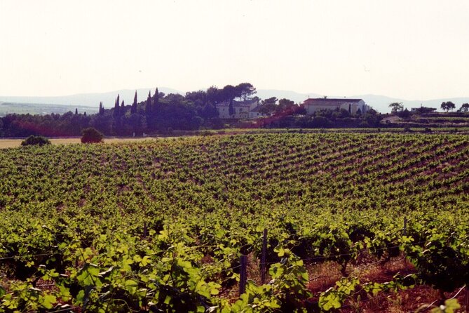 Cheese Factory Workshop with Wine Tasting in Requena, Valencia - Eight cheeses, bold flavors, and plenty to drink