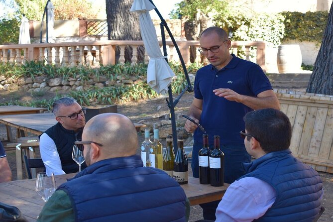 Cheese Factory Workshop with Wine Tasting in Requena, Valencia - Practical details that matter