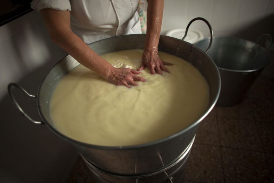 Cheese Making and Tasting Tour from Cagliari with Lunch - From Cagliari to a working farm in Siliqua