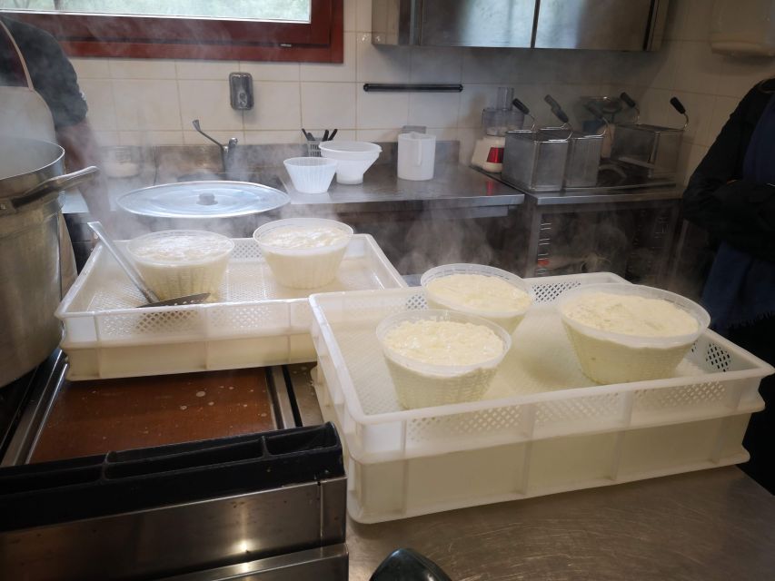 Cheese Making and Tasting Tour from Cagliari with Lunch - Is $305.87 a fair price?