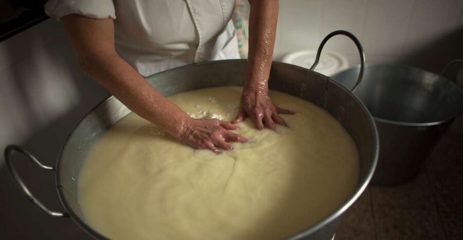Cheese Making and Tasting Tour from Cagliari with Lunch - Practical details before you book
