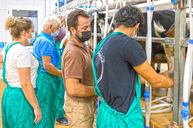 Cheese Making Workshop in Fuerteventura with Breakfast - A working farm, not a staged tasting