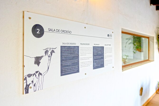 Cheese Making Workshop in Fuerteventura with Breakfast - Price, timing, and what the $85.54 covers