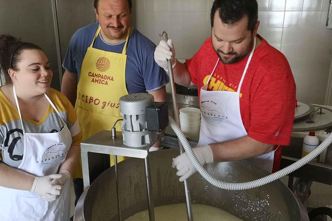 Cheese & ricotta making – Teramo (Abruzzo) Italy - A family farm near Teramo, not a staged food show