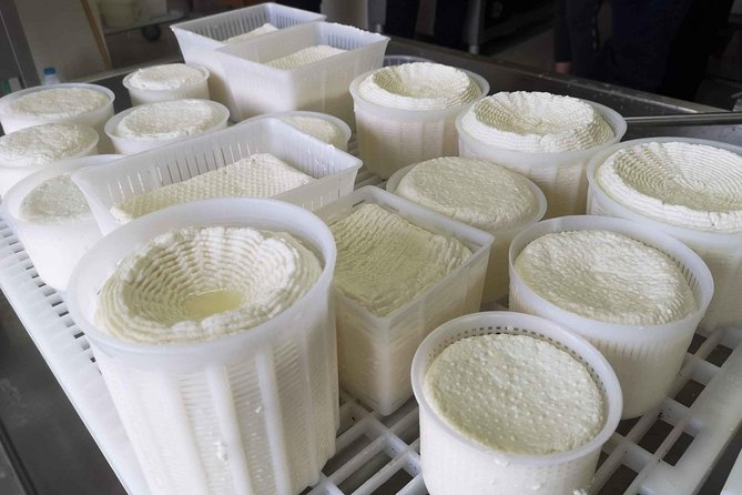 Cheese & ricotta making – Teramo (Abruzzo) Italy - Who will get the most from this experience