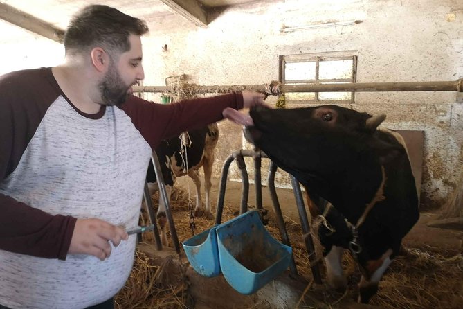 Cheese & ricotta making – Teramo (Abruzzo) Italy - Small details that can make a big difference