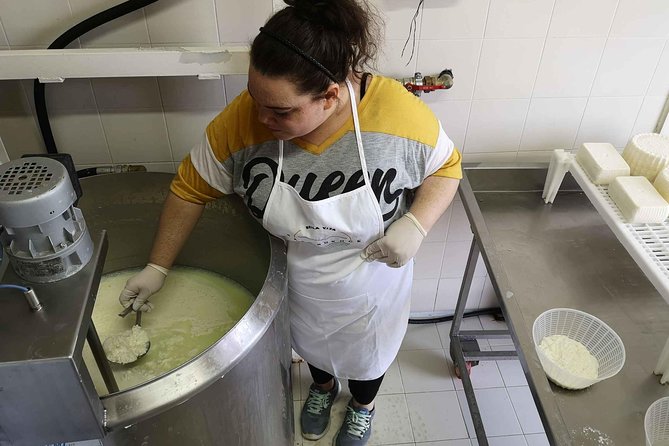Cheese & ricotta making – Teramo (Abruzzo) Italy - Cutting curd and shaping pecorino
