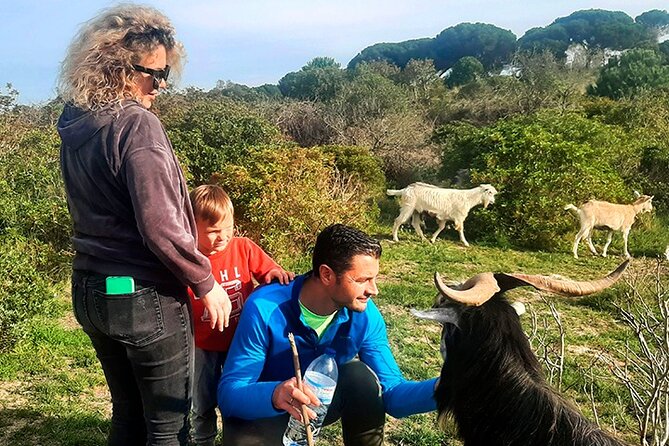 Cheese Walk & Atelier with a Goat Shepherd in Aoleão - A small picnic with local food
