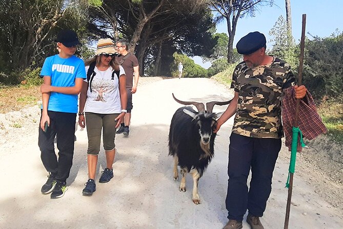 Cheese Walk & Atelier with a Goat Shepherd in Aoleão - Getting there and planning the afternoon