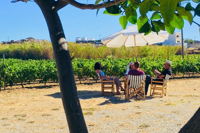 Cheese & Wine Trails - Naxos - Group size, transport, and the day’s practical rhythm