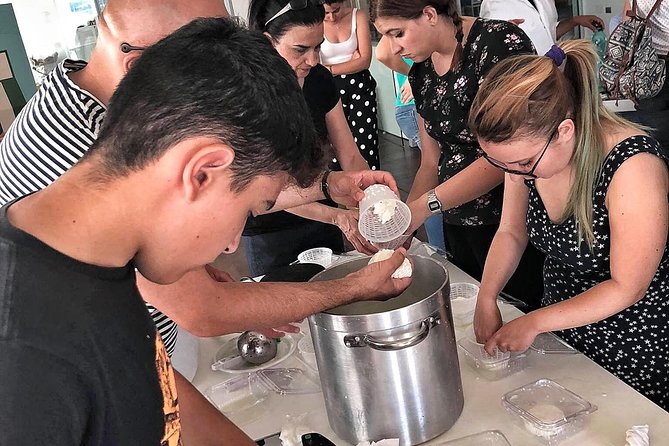 Cheesemaker for a day & visit to the dairy - Key points to know before you book