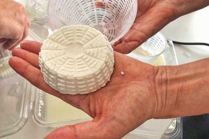 Cheesemaker for a day & visit to the dairy - Tasting Sardinian pecorino and caprino