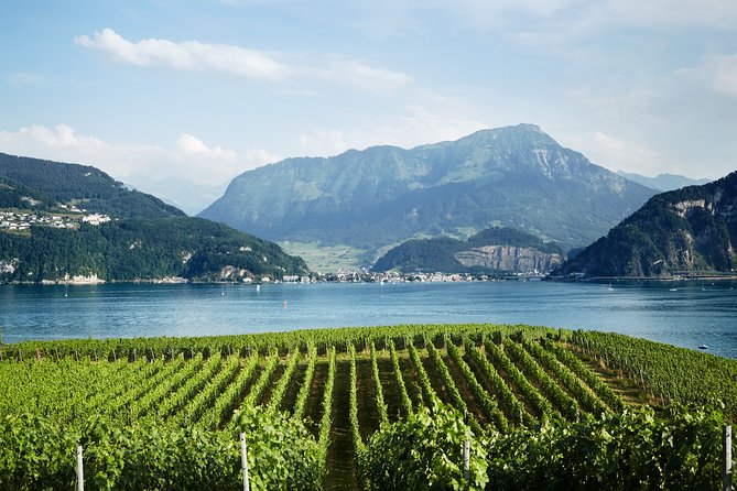 Chocolate, Cheese and Wine Tour in Luzern region - Who will enjoy this Lucerne food tour