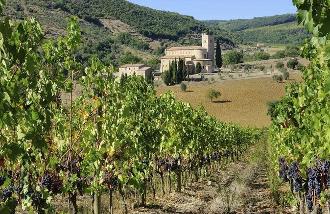 Cities, Cheese and Wine Tour in Pienza & Montepulciano - Why this Tuscan day works