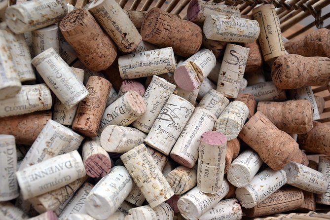 Clotilde Davenne wine and cheese pairing tasting in Chablis - Is $23.83 a fair price?