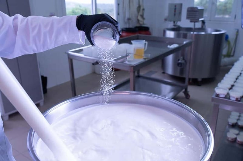 Crete: Farm Visit with Cheese Tasting and Milking Experience - Key points to know before you go