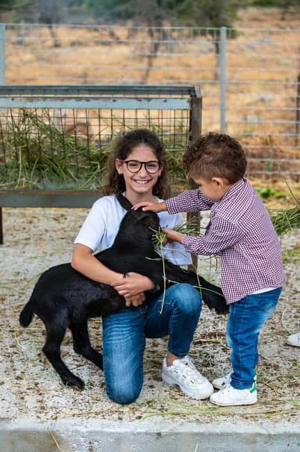 Crete: Farm Visit with Cheese Tasting and Milking Experience - Why the location works for a Rethymno day out