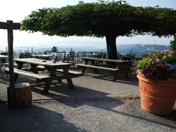 Culinary Tour from Zurich with Traditional Swiss Cheese Fondue Dinner - From Zurich to Kilchberg by minibus