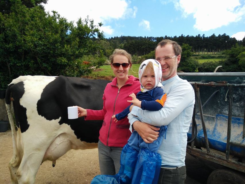 Dairy farm Visit and Cow Milking Experience in Azores - Who should book this Terceira farm visit?