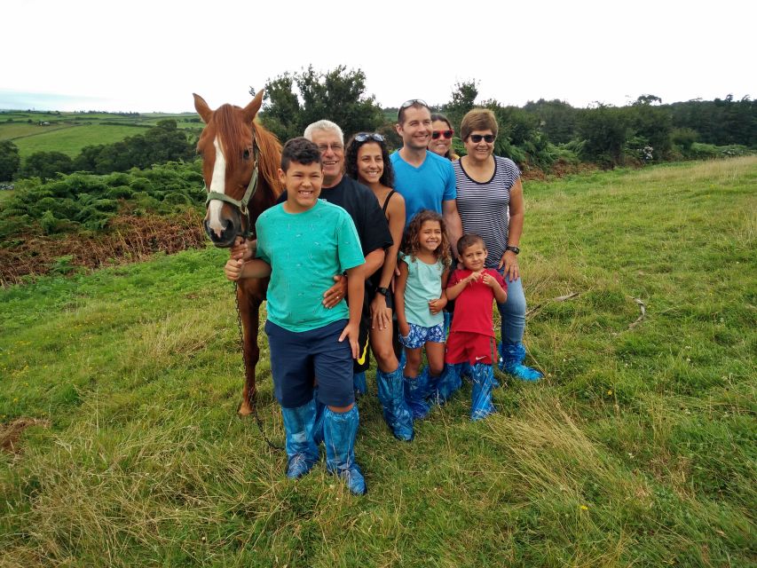 Dairy farm Visit and Cow Milking Experience in Azores - Timing, transport, and the meeting point