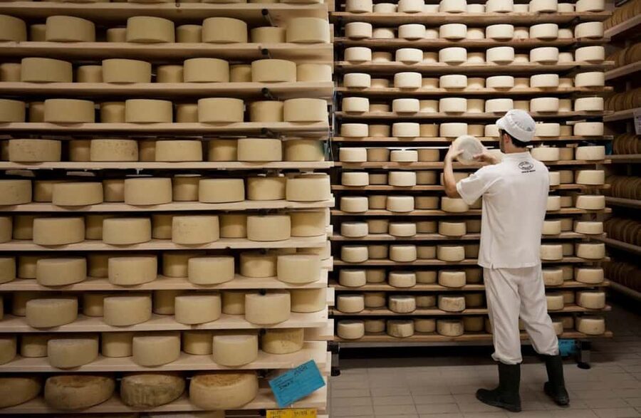 Dairy Tour with Cheese Tasting & Prosecco near Treviso - What the price of $57 really covers