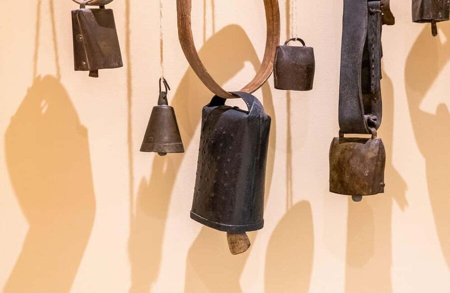 Dairy Tour with Cheese Tasting & Prosecco near Treviso - Should you book the Perenzin dairy visit?