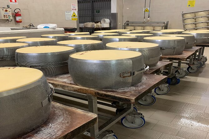 Day Tour Parmigiano, Ferrari Museum, Balsamic, Lambrusco, Lunch with Transfer - Parmigiano Reggiano at the dairy