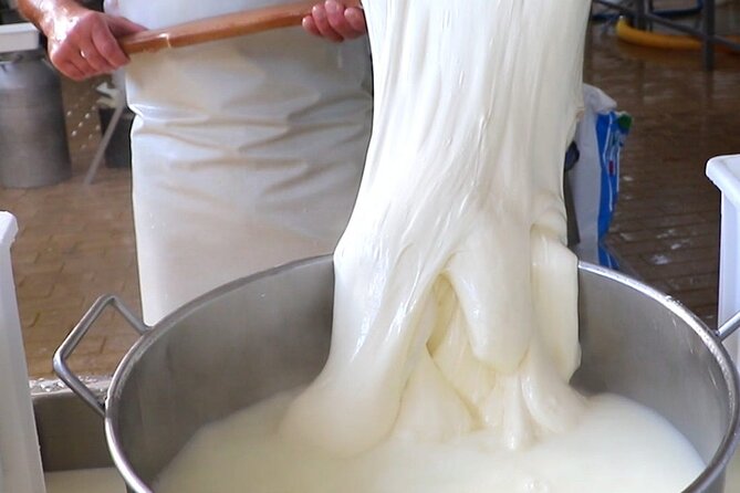 Deluxe Experience: Mozzarella, Oil and Wine Tasting on the Amalfi Coast - A food-focused escape from Naples