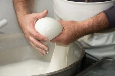 Deluxe Experience: Mozzarella, Oil and Wine Tasting on the Amalfi Coast