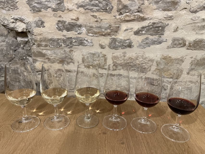 Dijon: Cheese and Burgundy Wine Tasting Workshop - A first taste of Burgundy in central Dijon