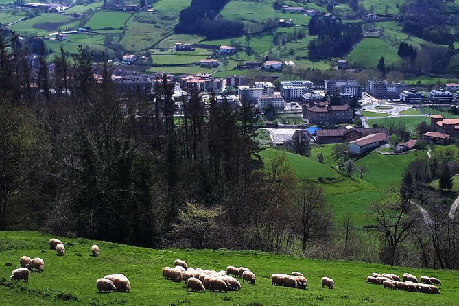 Discover the Art of Idiazabal Cheese in the Basque Country - Practical advice for a smoother morning