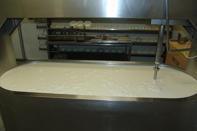 Discover the Art of Idiazabal Cheese in the Basque Country - Inside an Idiazabal cheese farm