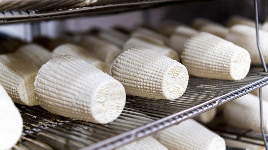 Dolianova: visit and workshop in a cheese factory - Key points to know before booking