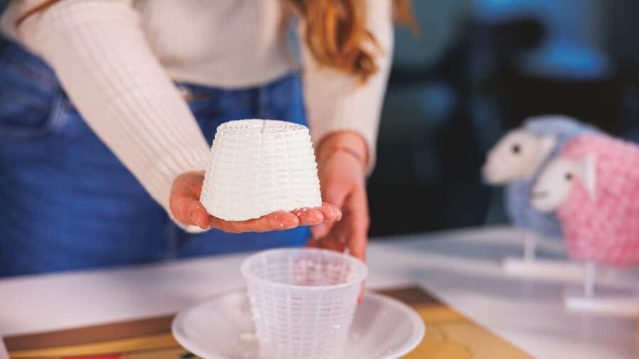 Dolianova: visit and workshop in a cheese factory - Why Dolianova is a good setting for a cheese visit