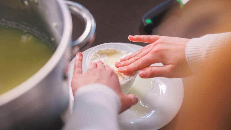 Dolianova: visit and workshop in a cheese factory - What the $84 price means