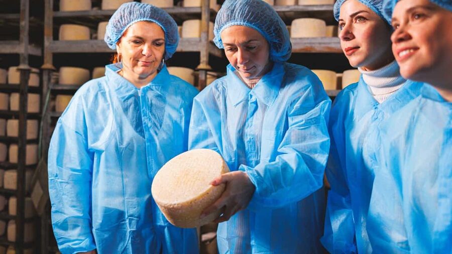 Dolianova: visit and workshop in a cheese factory - Should you book the Dolianova cheese workshop?