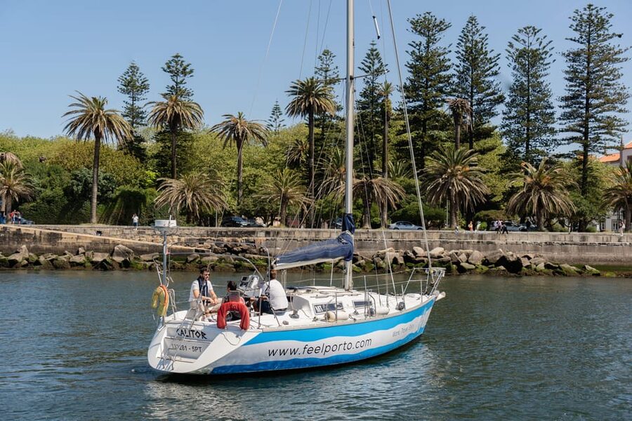 Douro River Cruise with Cheese & Tonic Porto in a Sailboat - Palácio de Cristal gardens from the water