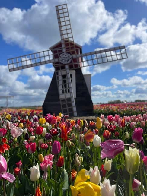 Dutch Countryside: , windmills, Villages, Cheese & Clogs - From Amsterdam to the Waterland villages