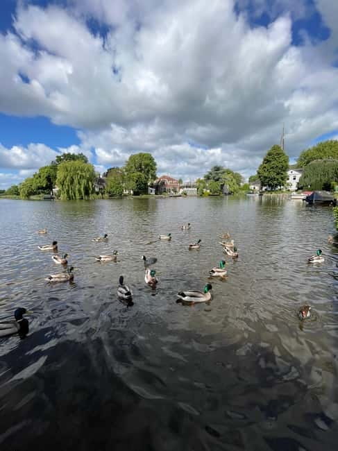 Dutch Countryside: , windmills, Villages, Cheese & Clogs - Zaanse Schans and the wind-powered Netherlands