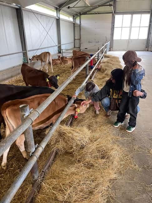 Dutch Countryside: , windmills, Villages, Cheese & Clogs - Why the private van changes the day