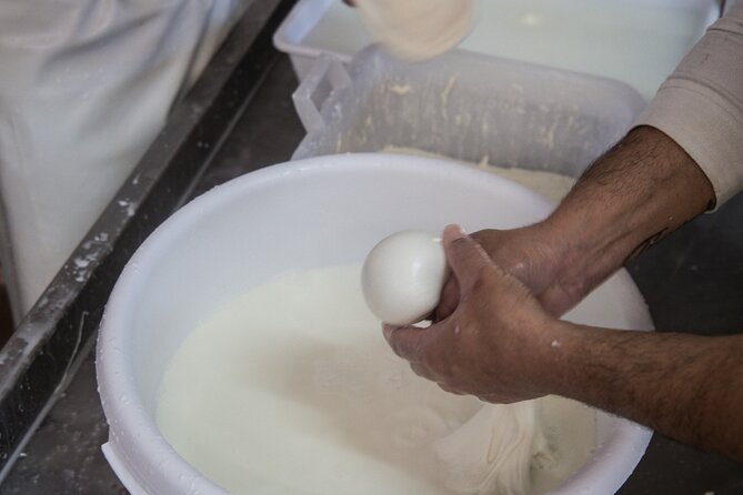 E-bike tour Martina Franca e Locorotondo and visit a dairy - Is $55.60 good value?