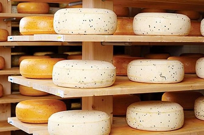 Ensenada Shore Excursion: Wine and Cheese Tour with Lunch in Ojos Negros Valley - Key points to know before you book