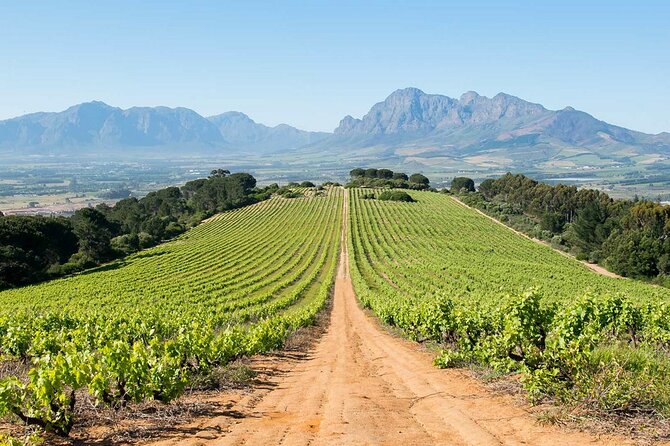 Experience 16 Wine Tasting & 6 Cheese Pairing across 3 Vineyards - Three estates, three different versions of wine country