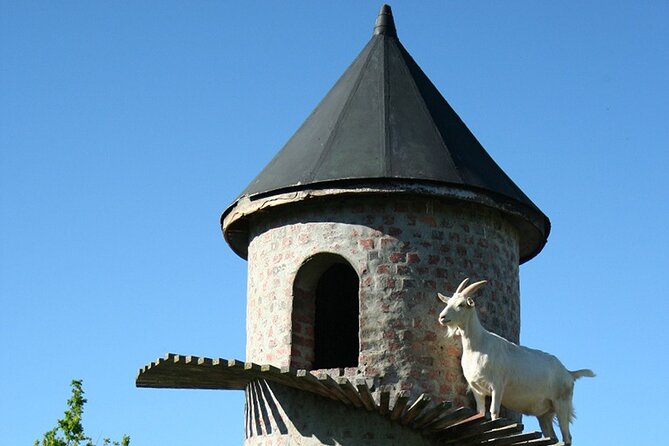 Experience 16 Wine Tasting & 6 Cheese Pairing across 3 Vineyards - What the $128.28 price really covers